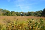 Backyard views overlook a cranberry bog